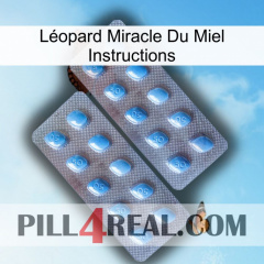Léopard Miracle Du Miel Instructions viagra4